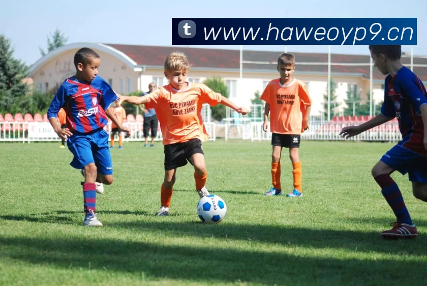 开云官方登陆入口发展历程